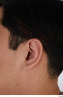 Photos of Fukuyama Bakin ear 0001.jpg
